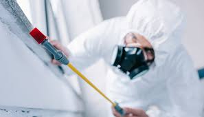 Best Pest Prevention Services  in Camanche, IA